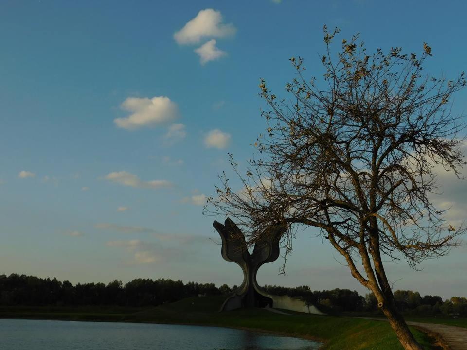 Bed and Breakfast Kod Ribica Jasenovac Exterior foto