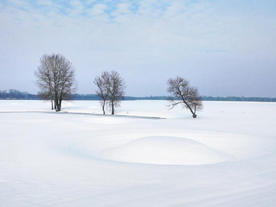 Bed and Breakfast Kod Ribica Jasenovac Exterior foto