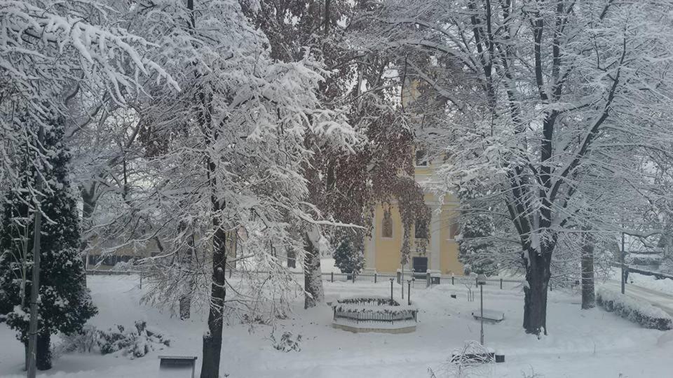 Bed and Breakfast Kod Ribica Jasenovac Exterior foto